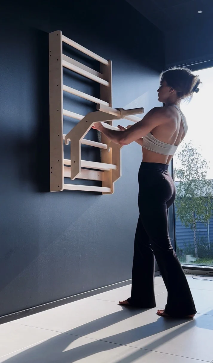 Programa Calistenia Integral